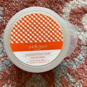 Gold Canyon Peppermint Leaf scent pod